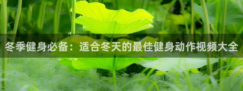 尊龙凯时ag旗舰厅官方网站