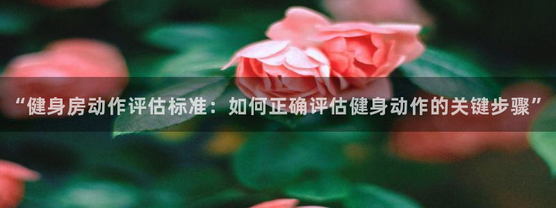 尊龙凯时ag旗舰厅